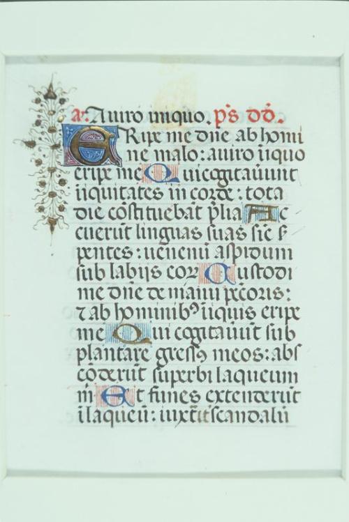 Illuminated Manuscript