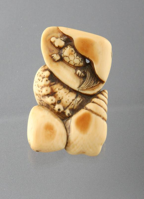 Netsuke with a Longevity Turtle and Shells