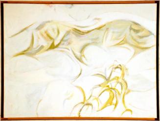 Landscape of a Virgin Forest