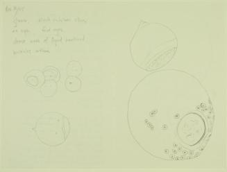 Untitled (from the ;rapt Series)