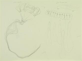 Untitled (from the ;rapt Series)