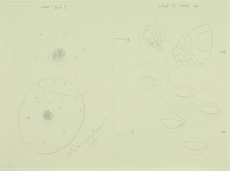 Untitled (from the ;rapt Series)