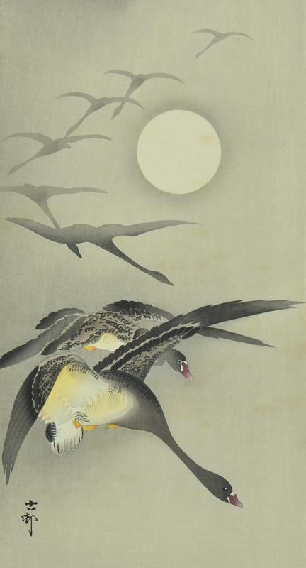 Geese and the Moon