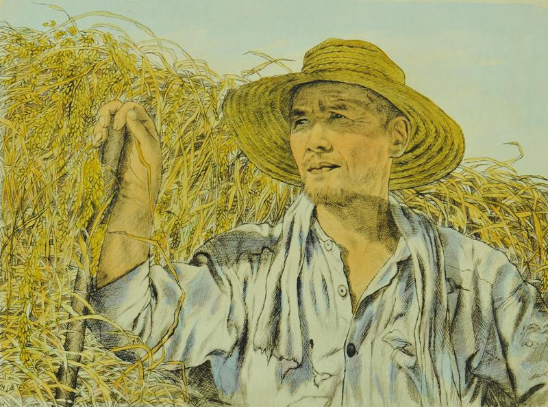 Japanese Rice Farmer