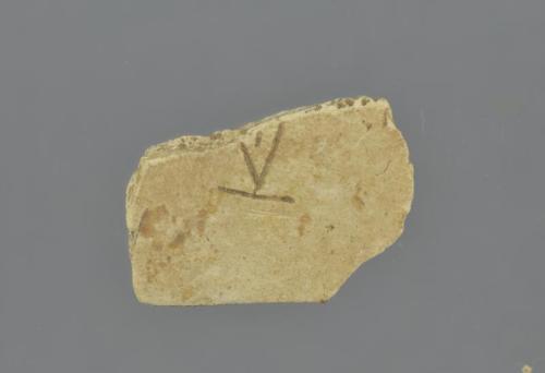 Oracle Bone