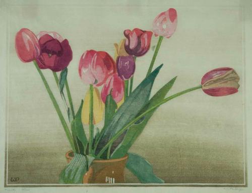 Tulips