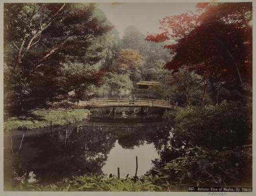 637 Autuumn View of Maples, Oji Tokio