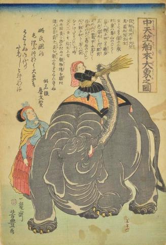 The Great Elephant Imported from India