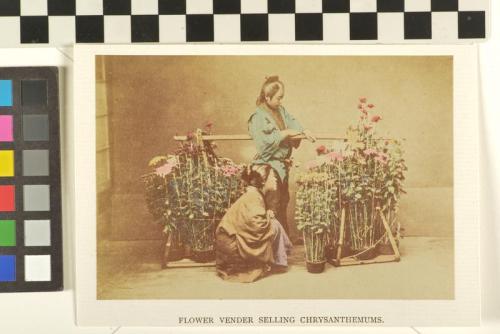 Untitled (Flower vender selling chrysanthemums)