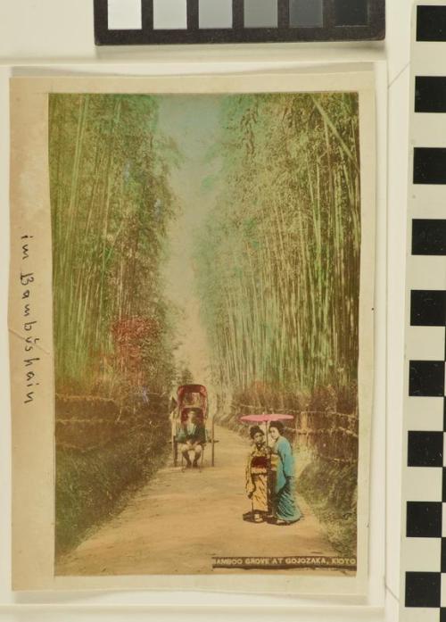 Untitled (Bamboo grove at Gojozaka, Kioto)