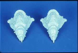 Cornucopia Wallpocket