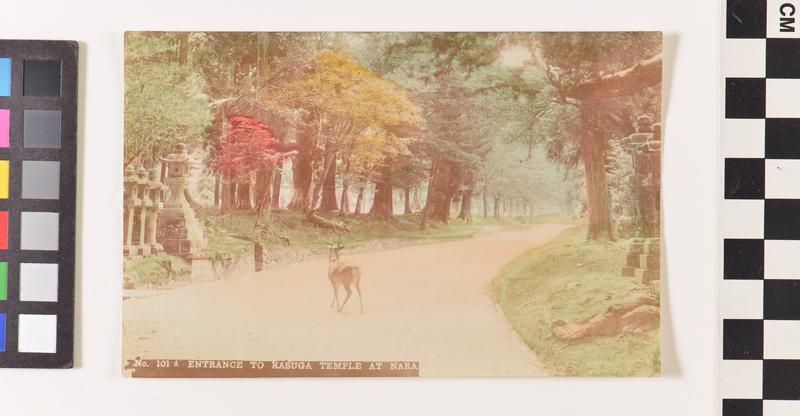 untitled (entrance to Kusuga Temple at Nara)