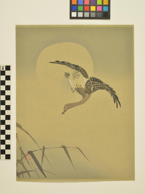 untitled (long necked bird)