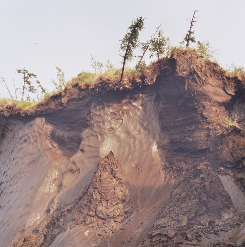 Permafrost, Duvanny Yar Site, Russia