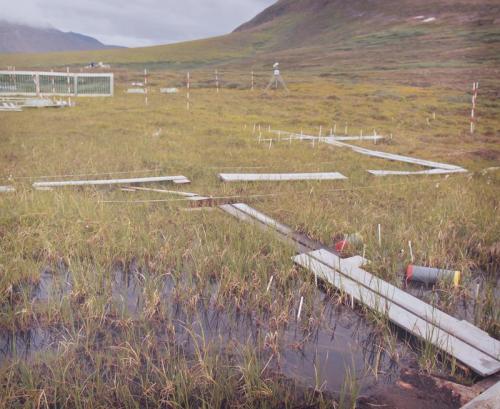 Snow Fields Test Site, Arctic Station, Greenland