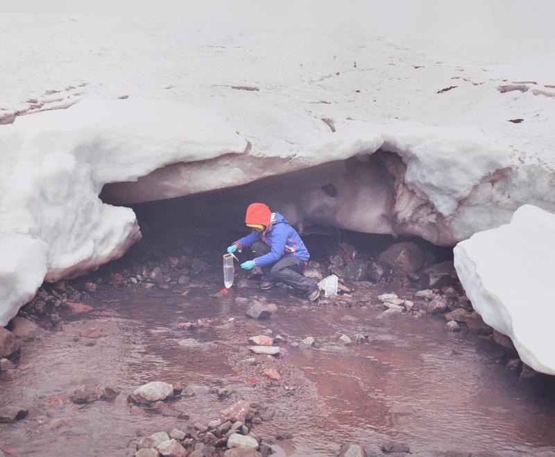 Microbes Samples, Lyngmark Glacier, Greenland