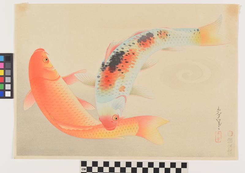 Brocade Carp