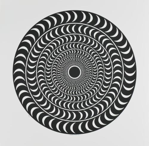 Spinning Whorl(d)