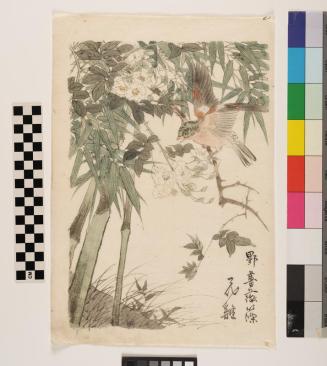 Brambling, Rose and Bamboo