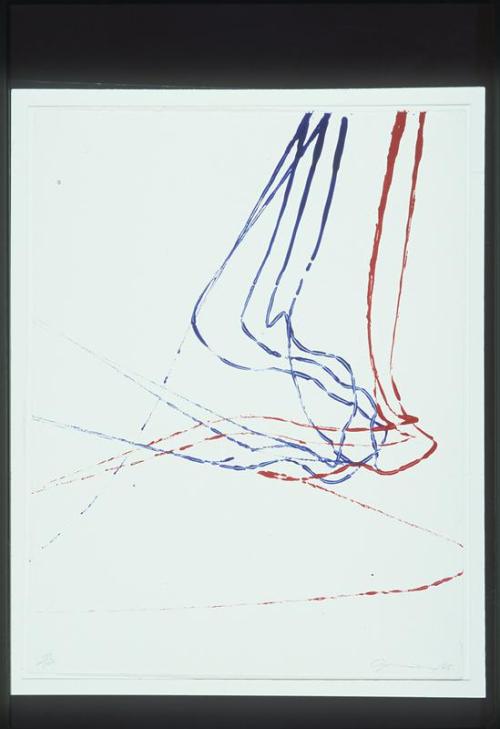 Random Magnetic Print Series...Three Red and Five Blue (No. 7 of Toronto Twenty Portfolio)