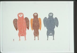 Three Young Owls