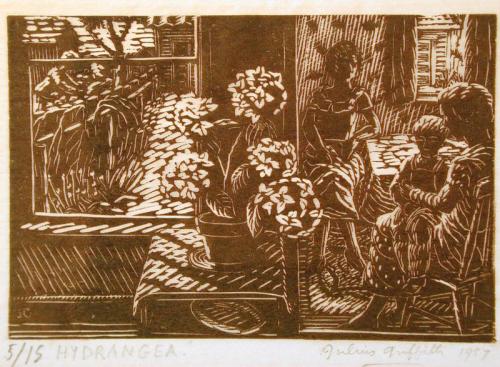 Hydrangea