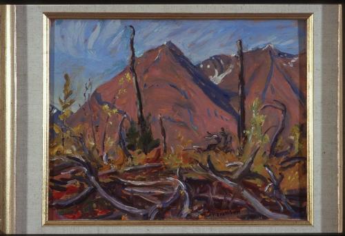 Burnt Land, Haina Highway, Yukon