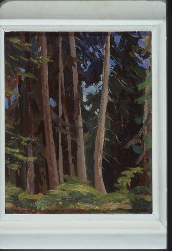 Trees, Metchosin