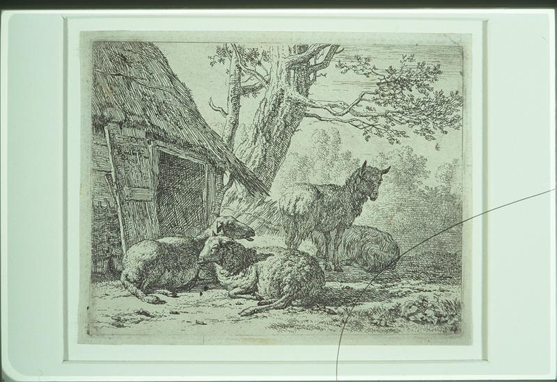 Farmyard Scene