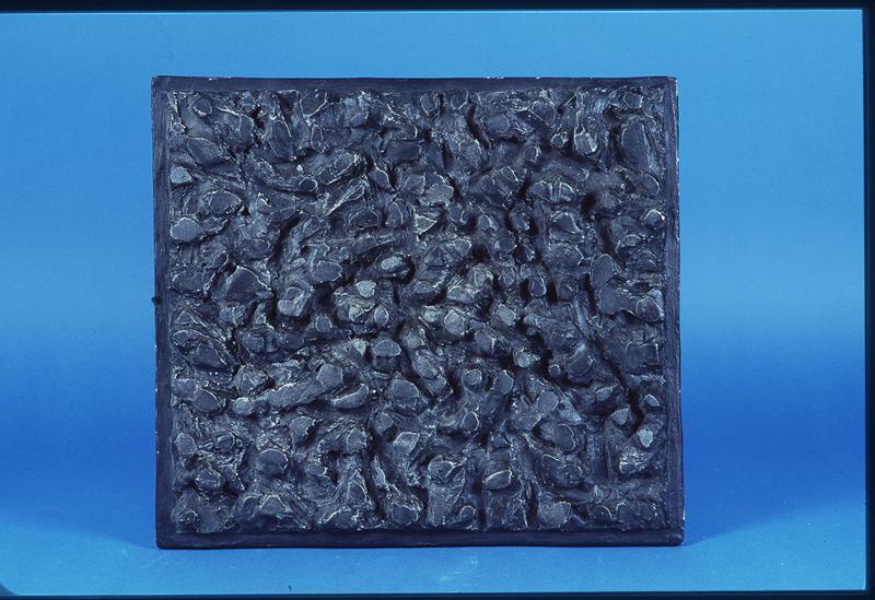 Robert Cameron Steele