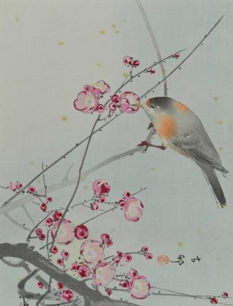 Bird on Cherry Branch