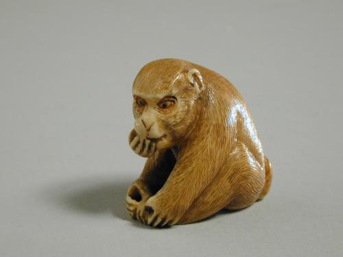 Netsuke shaped like a Monkey