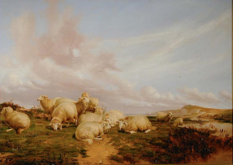 Countryside with Sheep