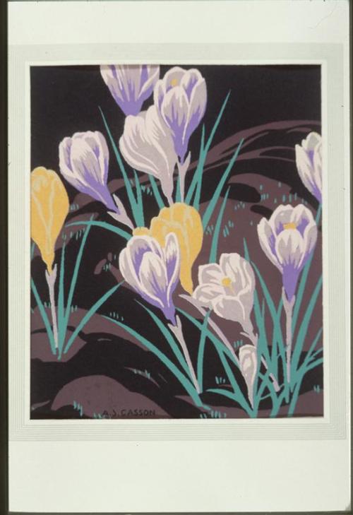 Untitled: crocus