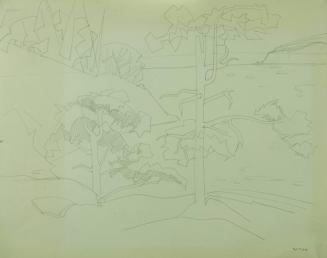 Pender Island (Trees)