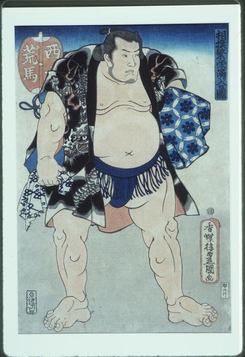 Sumo Wrestler