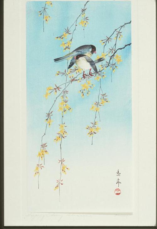 Two Birds on Yellow Blossom Branches