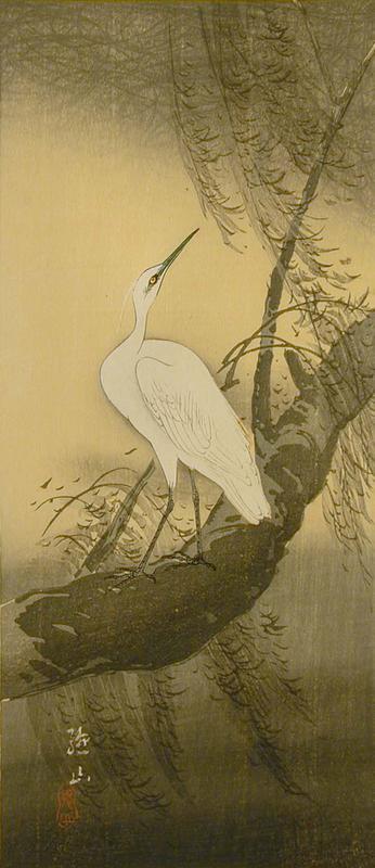 White Egret