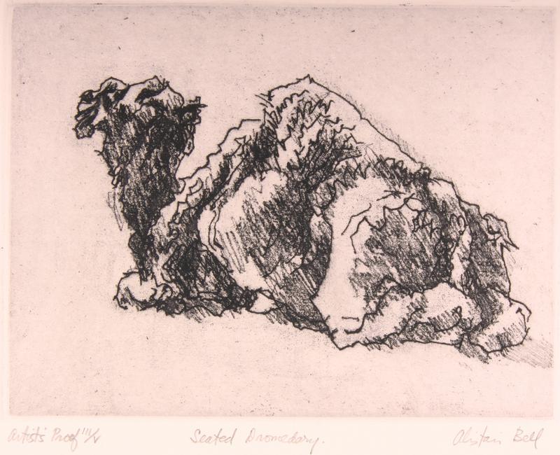 Seated Dromedary