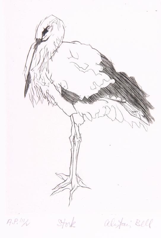 Stork