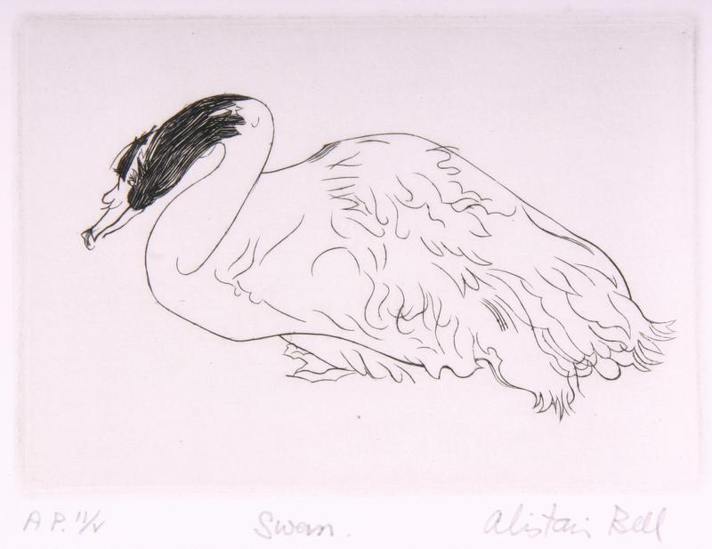 Swan