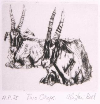 Two Oryx