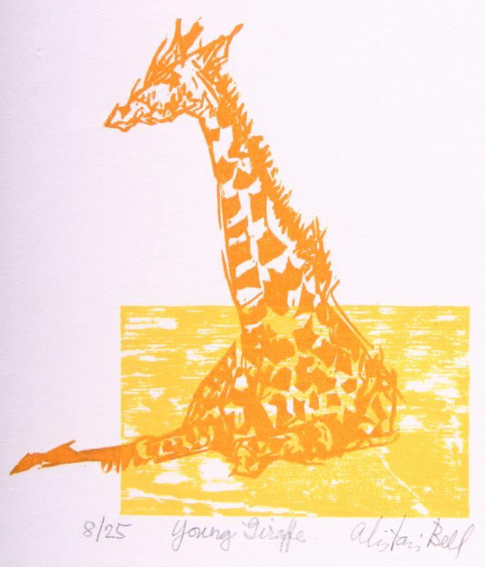 Young Giraffe