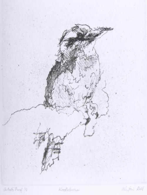 Kookaburra