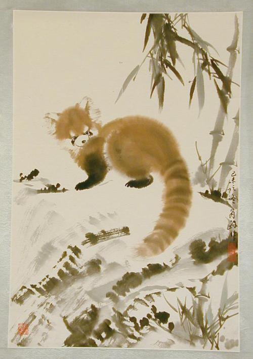 Lesser Panda