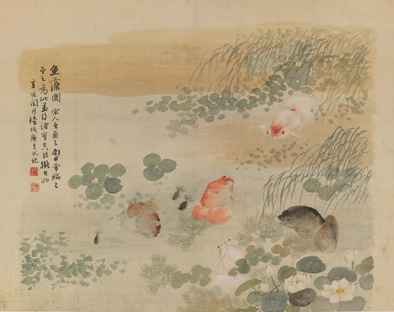 Goldfish in Lotus Pond