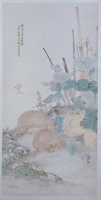 Hedgehogs entering Marrow Patch