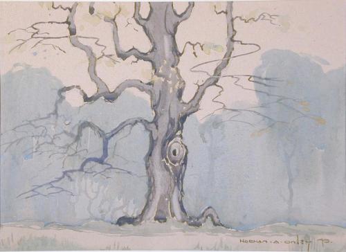 Tree Group Study